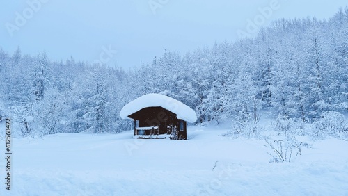 Cabin in the middle of a snow-covered field with trees in the background © Janice Shi (janice Shi)/Wirestock Creators