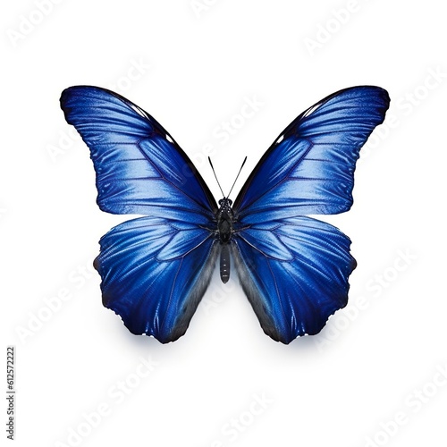 beautiful butterfly isolated on white   Generative AI  © Kay