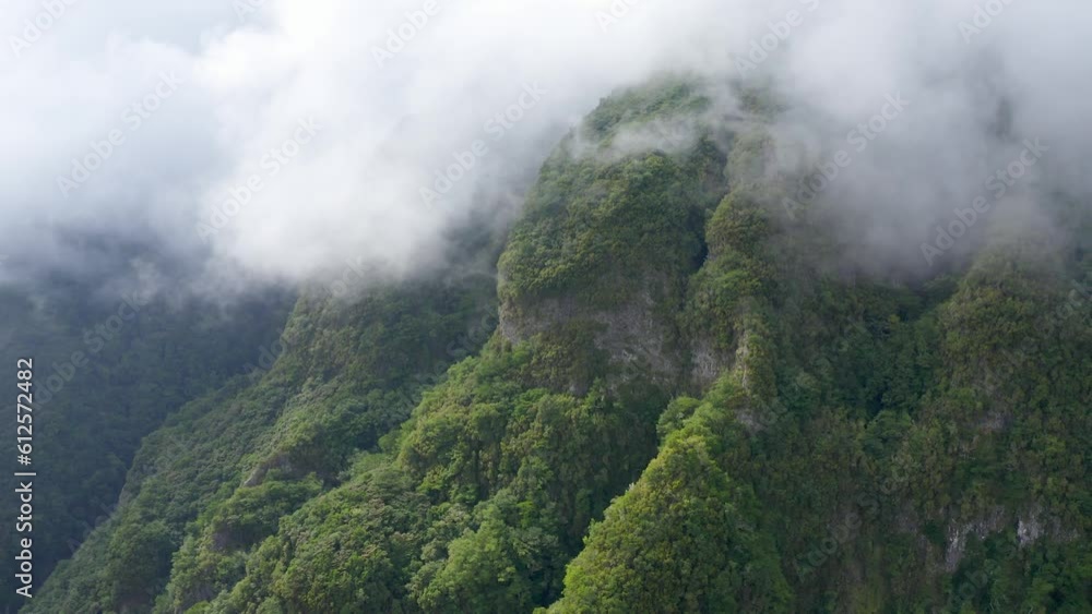 Aerial view of beautiful natural green forests on cliffs on Madeira Island Aerial view of beautiful natural green forests on cliffs on Madeira Island