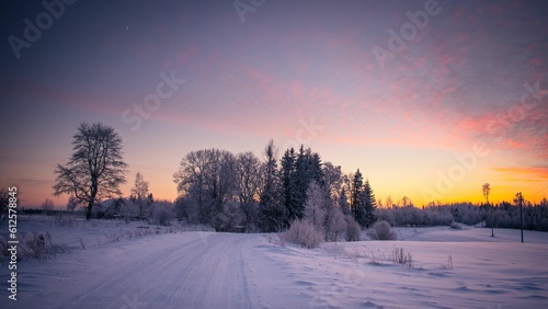 Scenic view of a winter landscape in a forest with a colorful sunset in the sky