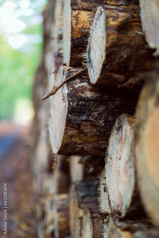 Vertical shot of stacked firewood Vertical shot of stacked firewood