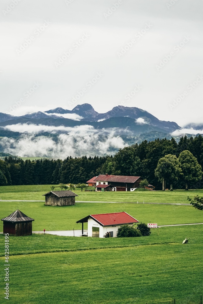 Vertical shot of cottages in the countryside with green forest and misty mountains in the background