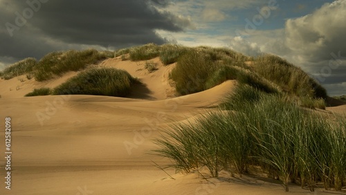 Picturesque view of the desert hills covered with plants