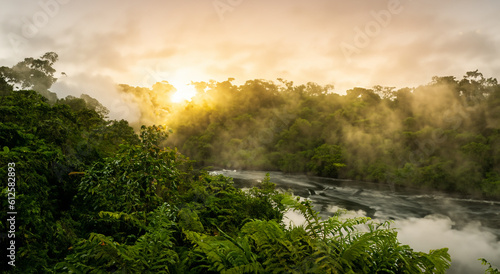 beautiful amazon river with mist and green trees