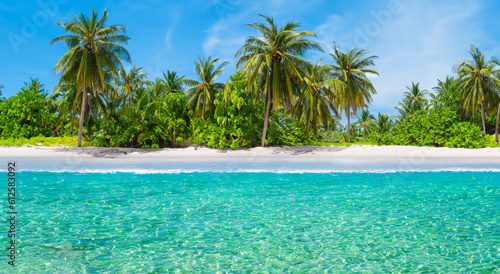 beautiful paradisiacal beach with big palm trees and crystal clear waters by day