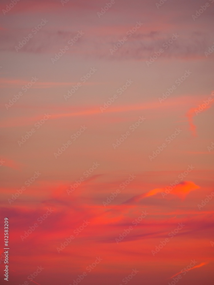 Vertical shot of the pastel color pink and purple sky during scenic sunset