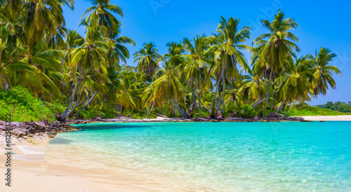 beautiful paradise beach with big palm trees © Marco