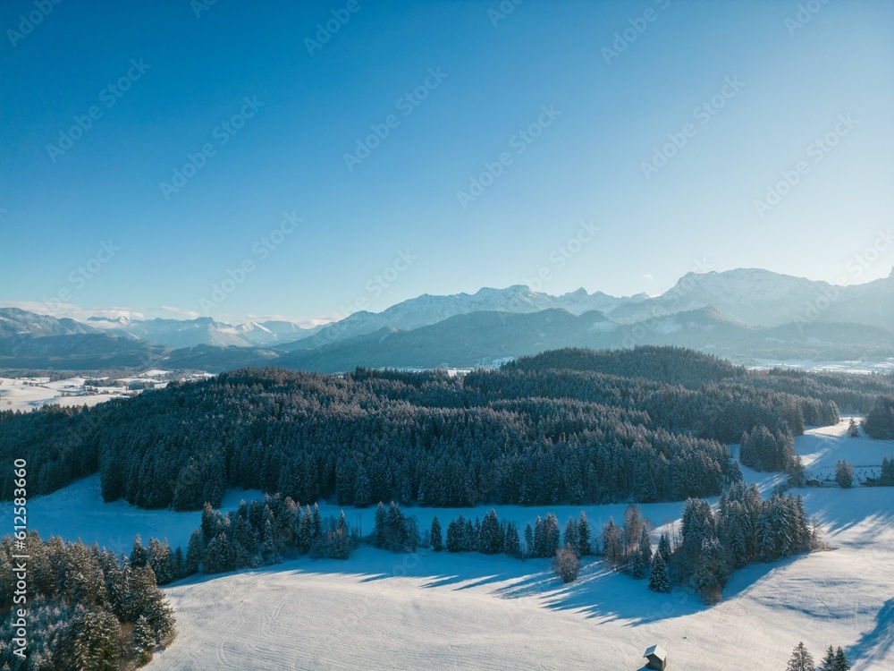 Aerial view of a forest landscape covered with snow and a mountain range in the background