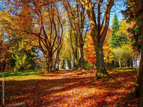 Scenic landscape in autumn
