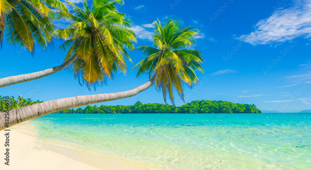 beautiful landscape of a beach with crystalline blue