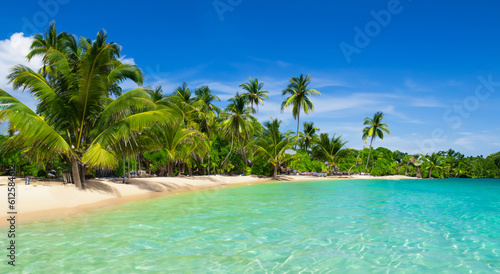 beautiful landscape of a paradise beach