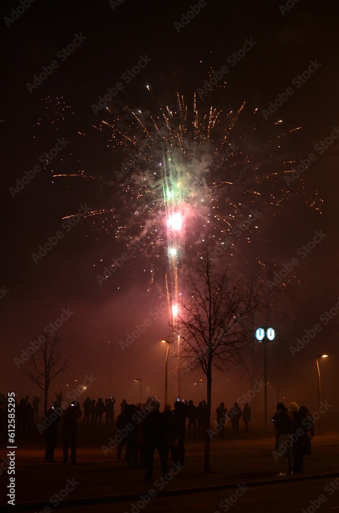 People watching the fireworks display in the night sky People watching the fireworks display in the night sky