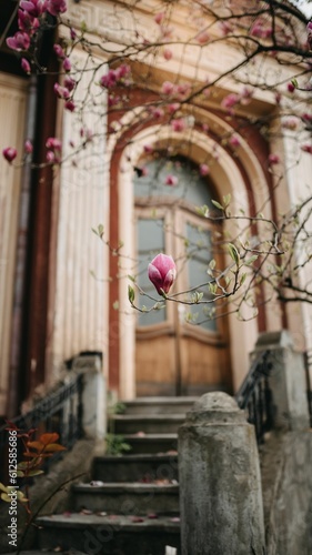 Vertical shot of a small pink magnolia flower in a selective focus on tree on background of doorway