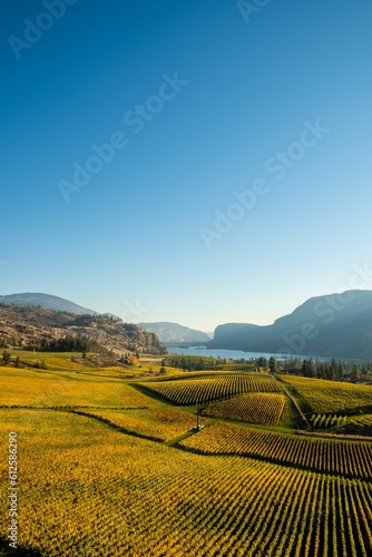 High-angle shot of the Vaseux Lake and vineyards in Okanagan Valley, British Columbia. photo