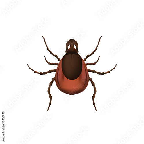 Tick on white background, vector illustration. Parasitic insect