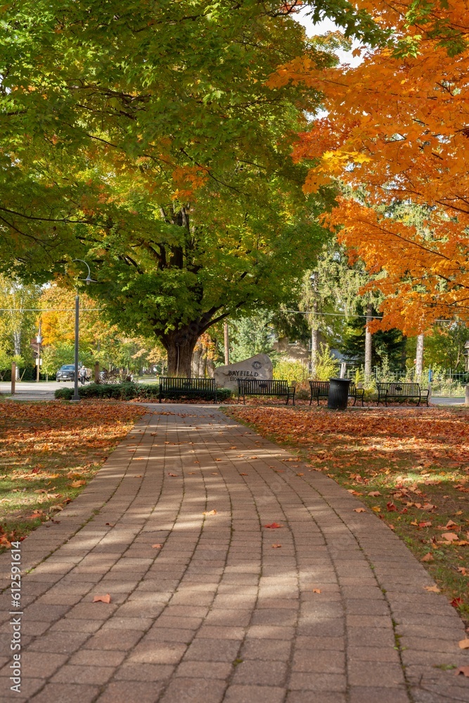 Naklejka premium Stone floor road in the park with autumn colorful trees, vertical shot