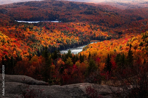 Breathtaking scenery of a colorful dense forest with lakes during fall season