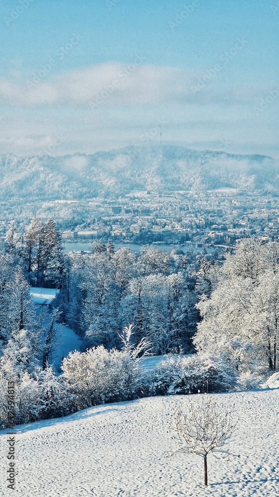 Vertical shot of snowy slope and trees in winter with river and buildings in the background Vertical shot of snowy slope and trees in winter with river and buildings in the background