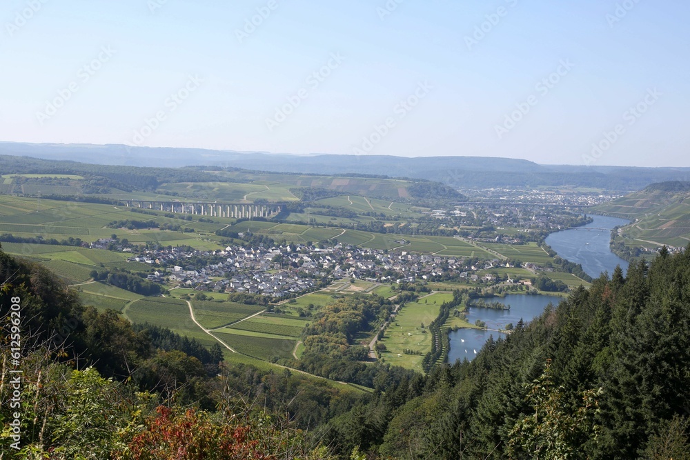 Aerial shot of the river with old buildings and tree, Mosel, Germany