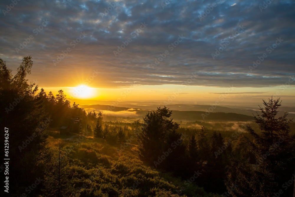 Aerial shot of the forest on the mountain during sunset