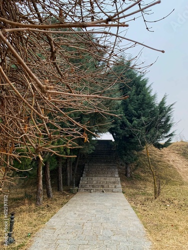 Beautiful vertical of stone stairs with trees leading to the top of hill
