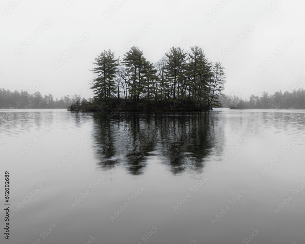 Islet with several trees in the lake