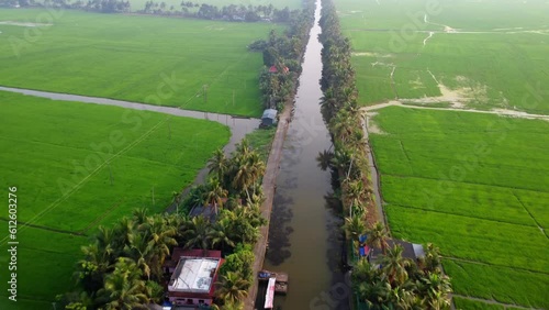 Drone shot of paddy field over upper Kuttanad on a misty and sunny day photo