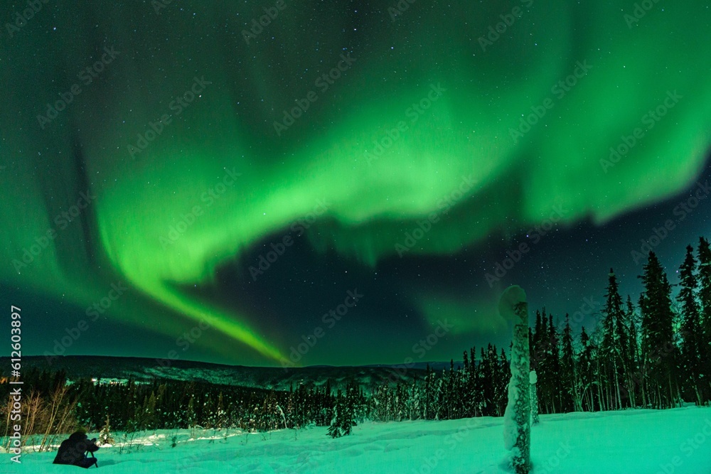 Bright aurora shining in the sky above the beautiful forest during the nighttime