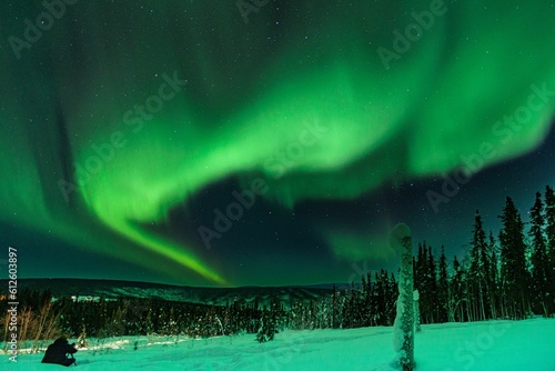Bright aurora shining in the sky above the beautiful forest during the nighttime
