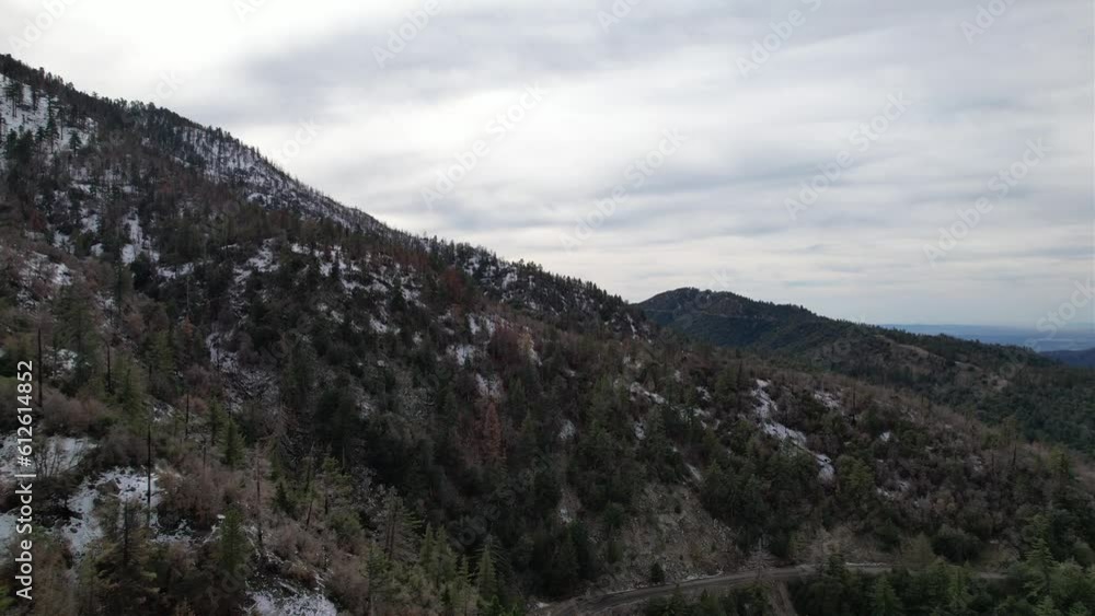 Aerial of a snowy forest on the mountainside with the cloudy sky in the background Aerial of a snowy forest on the mountainside with the cloudy sky in the background