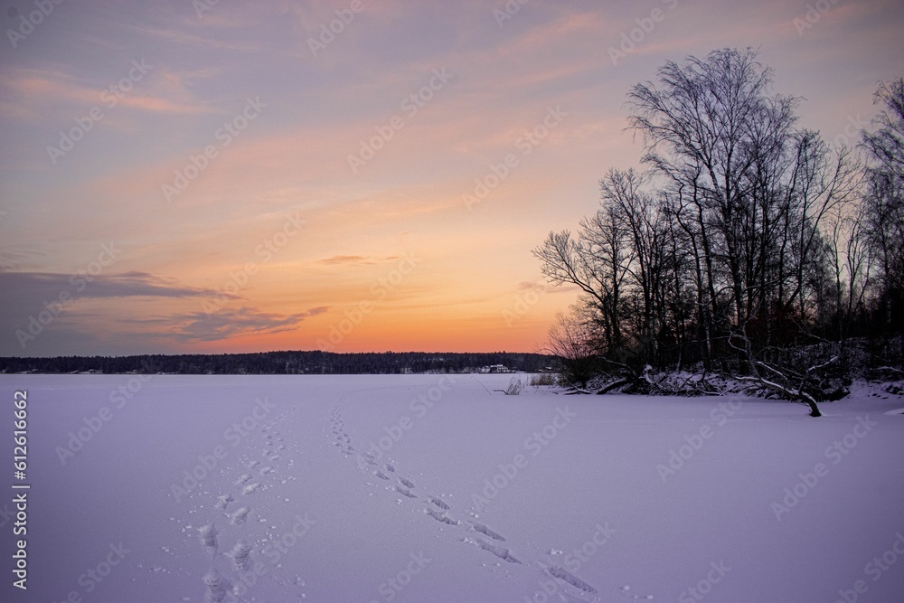 Landscape view of the feet traces on snowy field with deciduous trees at sunset Landscape view of the feet traces on snowy field with deciduous trees at sunset