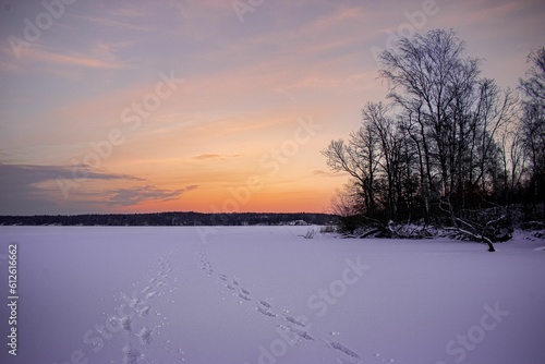 Landscape view of the feet traces on snowy field with deciduous trees at sunset © Agnieszka13/Wirestock Creators