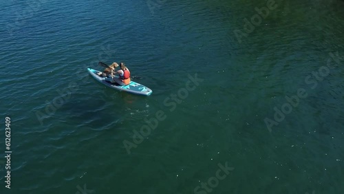 Aerial view of a female kayaking with her dog in the sea on a sunny day