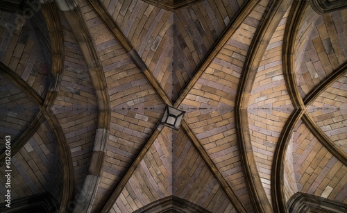 Beautiful vaulted Gothic ceiling