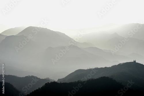Fotografie Grayscale shot of the mountains covered with trees on a foggy day