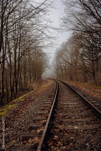 Vertical shot of train rails in a forest on a foggy day
