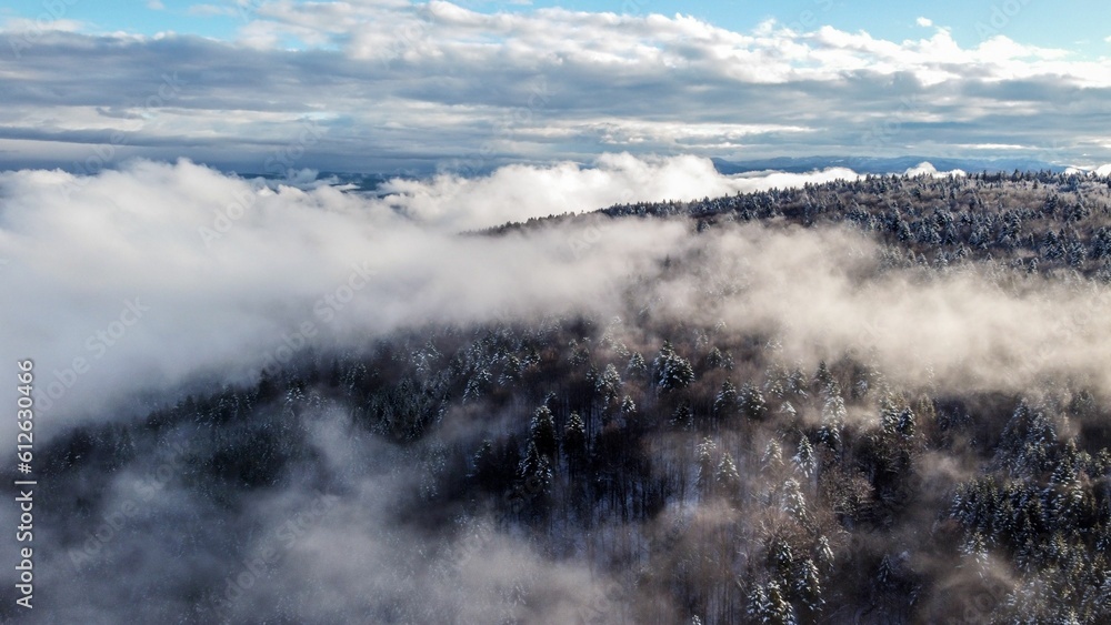 Obraz premium High-angle of clouds above a frozen forest in winter