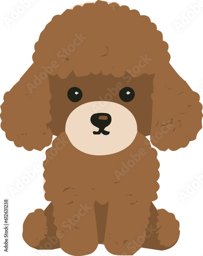 Single brown small dog ona white background.