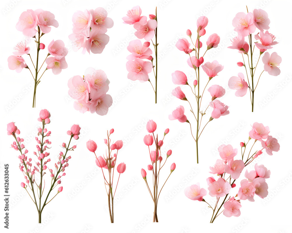 Pink flowers isolated in white background. Generative AI.