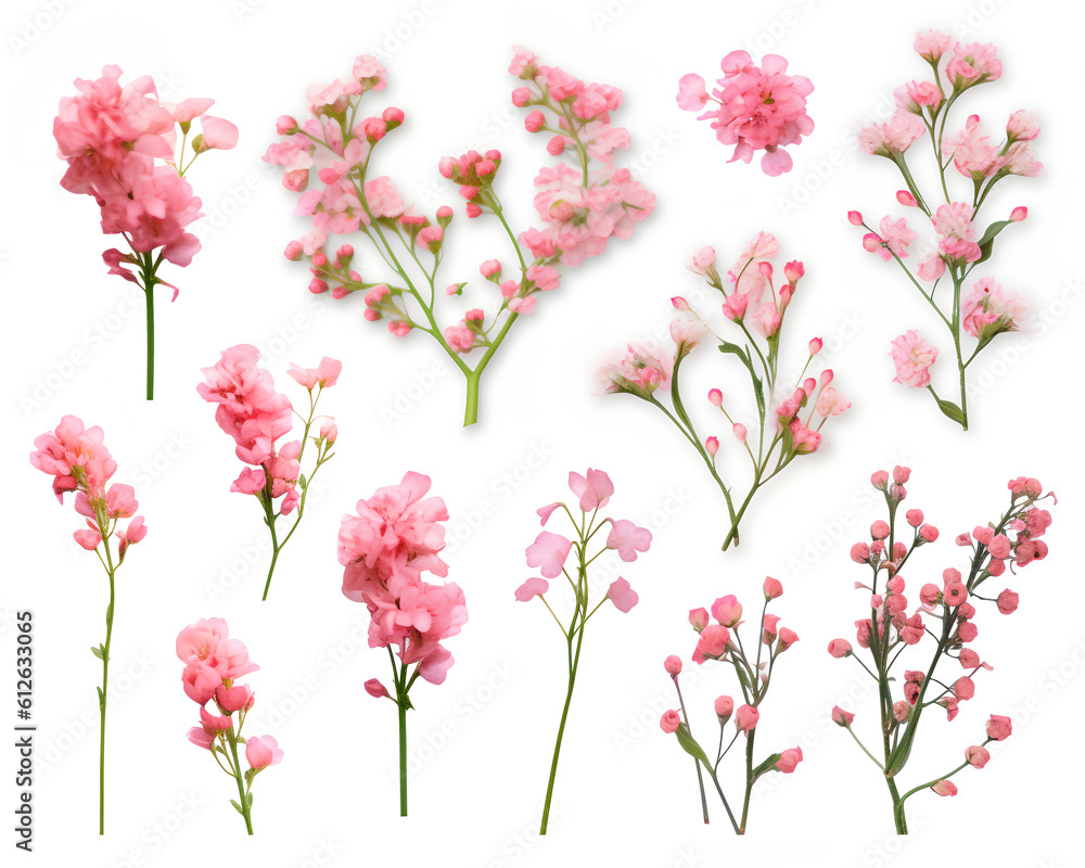 Pink flowers isolated in white background. Generative AI.