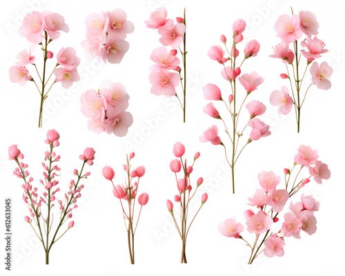 Obraz na płótnie Pink flowers isolated in white background. Generative AI. w salonie