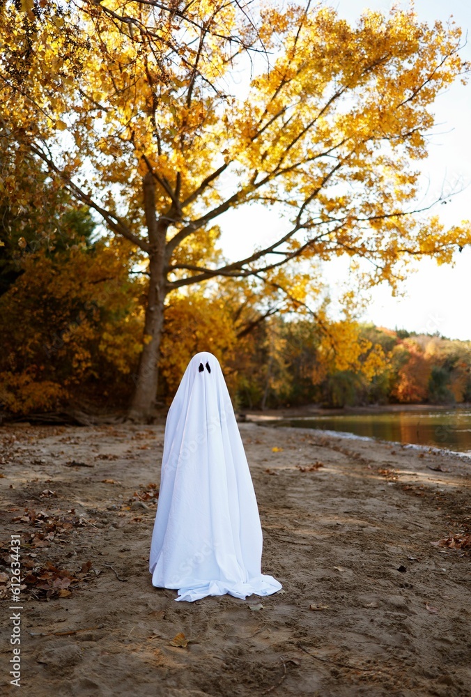 a white ghost on the beach, looking down at the water