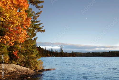 a lake with some trees and clouds in the background and a rock in the forest
