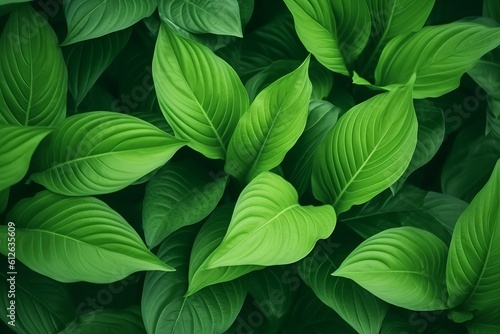 Green leaves pattern background  Natural background and wallpaper. Generative AI