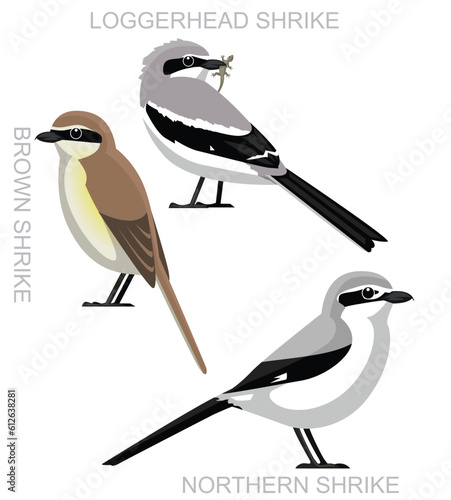Tableau sur toile Cute Bird US Shrike Set Cartoon Vector