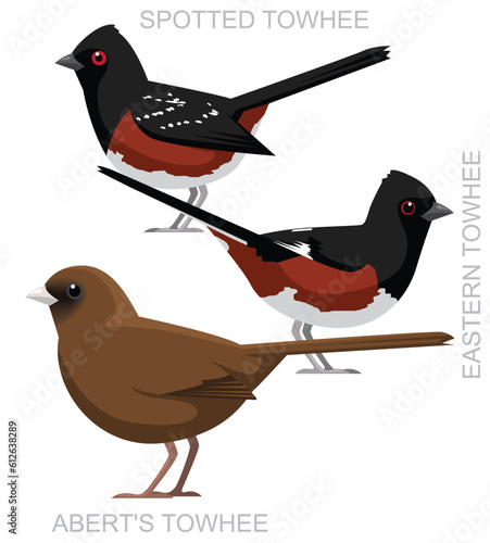 Cute Bird Towhee Set Cartoon Vector
