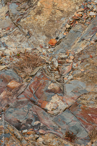 Close up Rock in Ode