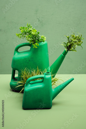 Watering cans with plants photo