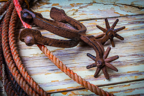Rusty Spurs And Rope