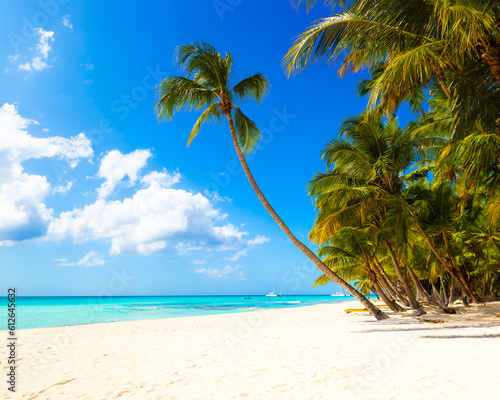 Vacation summer holidays background wallpaper - sunny tropical Caribbean paradise beach with white sand in Seychelles Praslin island Thailand style with palms © Vasily Makarov